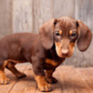 Meet your Posher, Gabbie